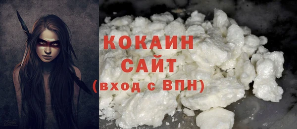 крисы Абаза