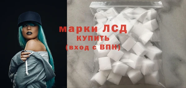 крисы Абаза