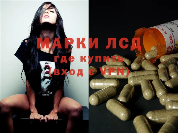 крисы Абаза