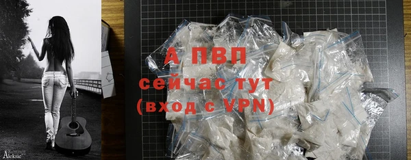 крисы Абаза