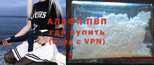 крисы Абаза