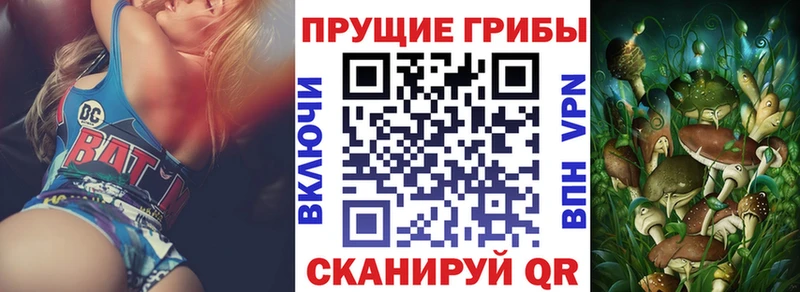 Галлюциногенные грибы мухоморы  Чегем 